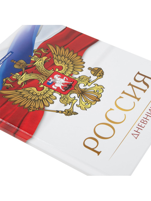 Дневник 5-11 класс 48 л., твердый, BRAUBERG, глянцевая ламинация, с подсказом, 