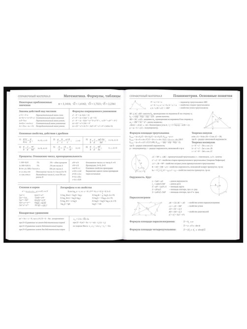 Дневник 5-11 класс 48 л., твердый, BRAUBERG, выборочный лак, с подсказом, 
