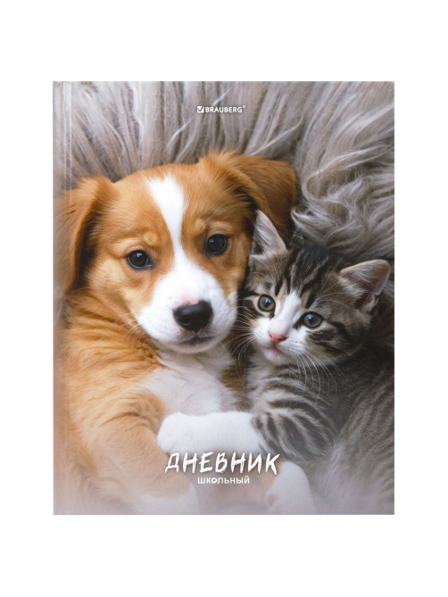 Дневник 5-11 класс 48 л., твердый, BRAUBERG, глянцевая ламинация, с подсказом, 