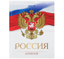 Дневник 5-11 класс 48 л., твердый, BRAUBERG, глянцевая ламинация, с подсказом, 