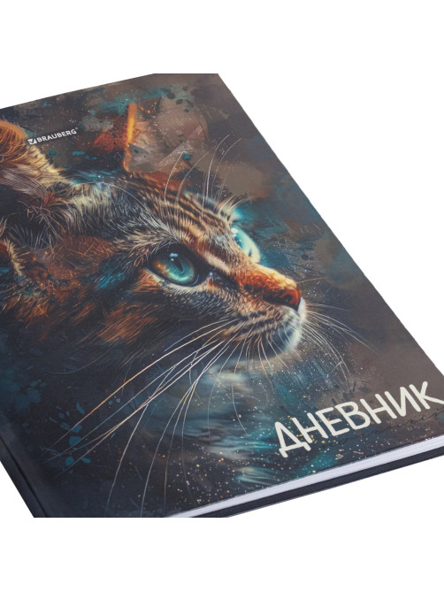 Дневник 5-11 класс 48 л., гибкая обложка, BRAUBERG, глянцевая ламинация, с подсказом, 