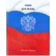 Дневник 5-11 класс 48 л., твердый, BRAUBERG, глянцевая ламинация, с подсказом, 