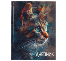 Дневник 5-11 класс 48 л., гибкая обложка, BRAUBERG, глянцевая ламинация, с подсказом, 