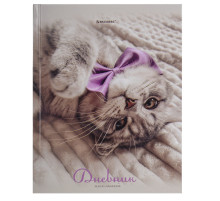 Дневник 5-11 класс 48 л., твердый, BRAUBERG, глянцевая ламинация, с подсказом, 