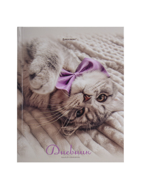 Дневник 5-11 класс 48 л., твердый, BRAUBERG, глянцевая ламинация, с подсказом, 