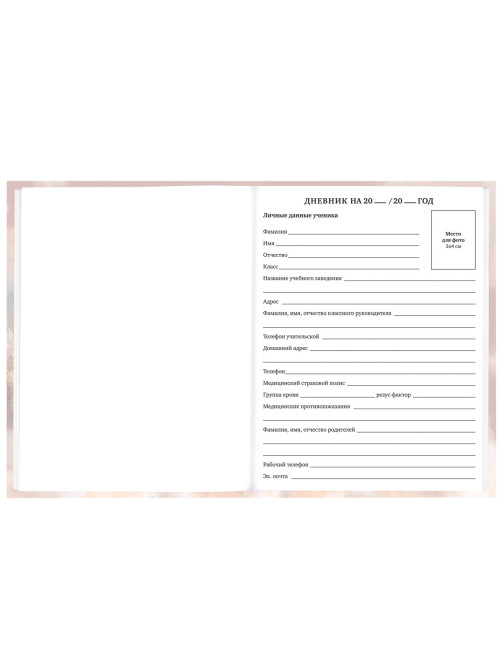 Дневник 1-11 класс 40 л., твердый, BRAUBERG, матовая ламинация, 