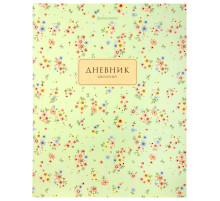 Дневник 1-11 класс 40 л., твердый, BRAUBERG, матовая ламинация, 