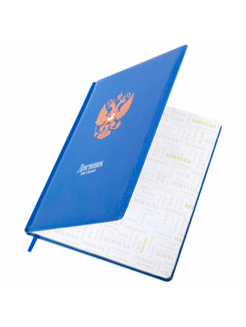 Дневник 1-11 класс 48 л., кожзам (твердая с поролоном), печать, цветной блок, BRAUBERG, 