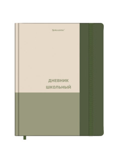 Дневник 1-11 класс 48 л., твердый, BRAUBERG, матовая ламинация, резинка, закладка-ляссе, с подсказом, 