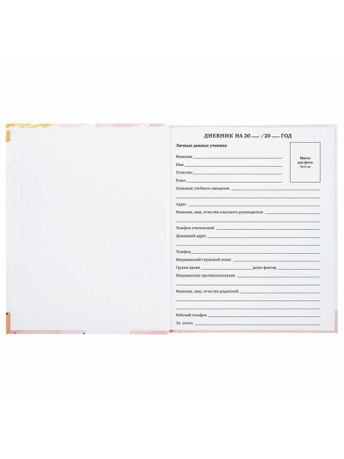 Дневник 1-11 класс 40 л., твердый, BRAUBERG, глянцевая ламинация, 