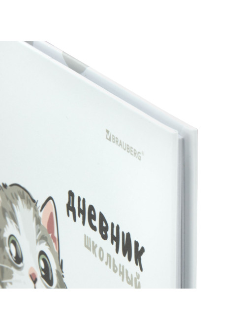 Дневник 1-11 класс 40 л., твердый, BRAUBERG, матовая ламинация, 