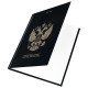 Дневник 1-11 класс 40 л., твердый, BRAUBERG, глянцевая ламинация, 