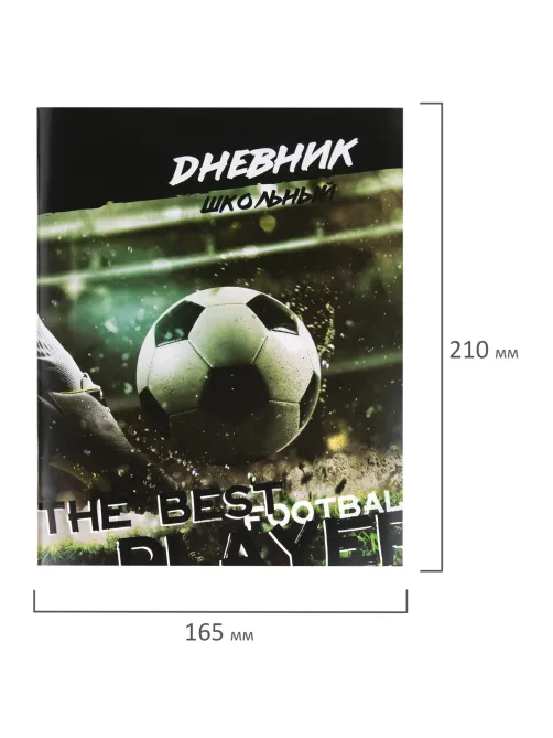 Дневник 1-11 класс 40 л., на скобе, ПИФАГОР, обложка картон, 
