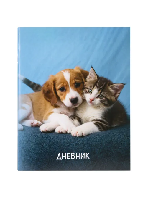 Дневник 1-11 класс 40 л., на скобе, ПИФАГОР, обложка картон, МИКС 