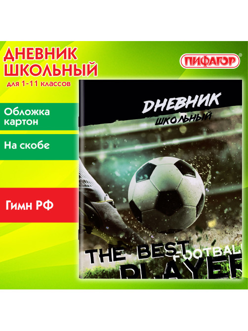 Дневник 1-11 класс 40 л., на скобе, ПИФАГОР, обложка картон, 