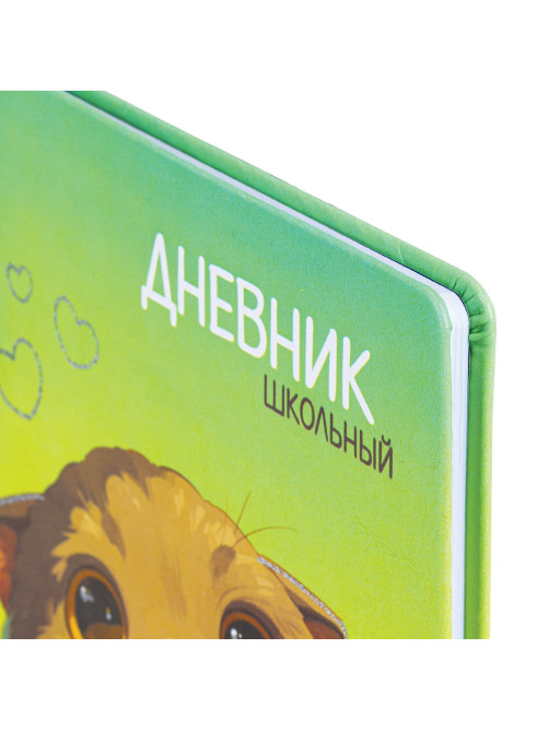Дневник 1-11 класс 48 л., кожзам (твердая), печать, глиттер, ЮНЛАНДИЯ, 