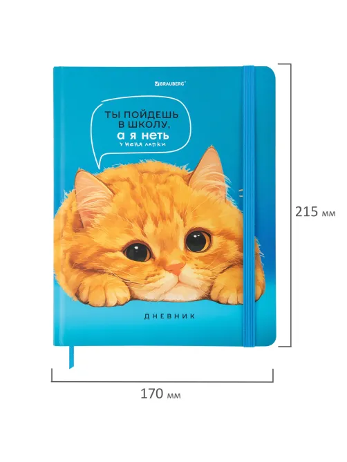Дневник 1-11 класс 48 л., твердый, BRAUBERG, матовая ламинация, резинка, закладка-ляссе, с подсказом, 