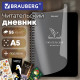 Дневник читательский А5, 58 листов, гребень, пластиковая обложка, картон, BRAUBERG, 