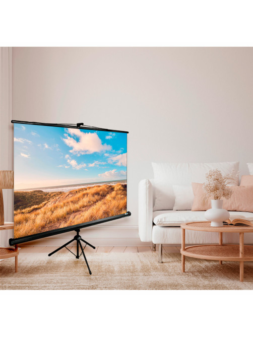 Экран Cactus Triscreen CS-PST-180x180, 180x180 см, 1:1, напольный, черный