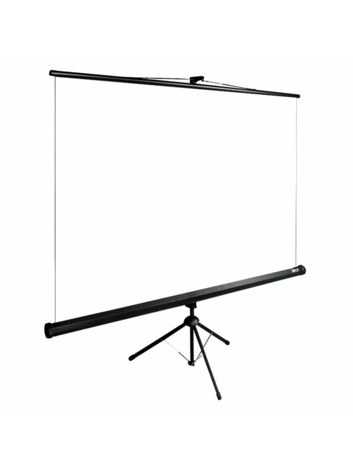 Экран Cactus TriExpert CS-PSTE-160x160-BK, 160x160 см, 1:1, напольный, черный