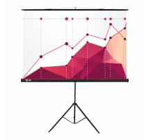 Экран Cactus Triscreen CS-PST-180x180, 180x180 см, 1:1, напольный, черный