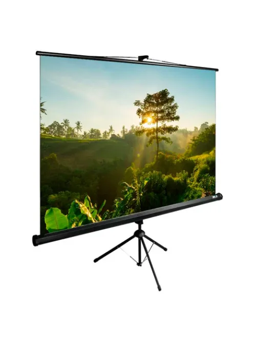 Экран Cactus TriExpert CS-PSTE-200x200-BK, 200x200 см, 1:1, напольный, черный