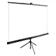 Экран Cactus TriExpert CS-PSTE-160x160-BK, 160x160 см, 1:1, напольный, черный