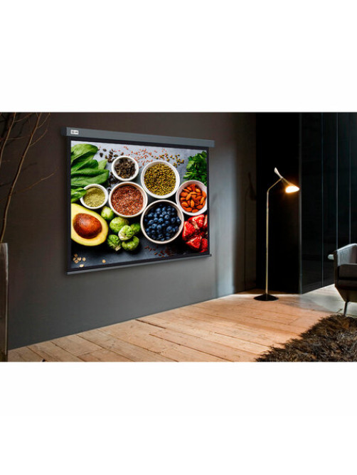 Экран Cactus Wallscreen CS-PSW-150X150-SG, 150x150 см, 1:1, настенно-потолочный, серый, PSW-150x150-SG