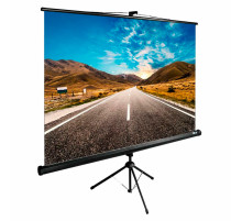 Экран Cactus TriExpert CS-PSTE-160x160-BK, 160x160 см, 1:1, напольный, черный