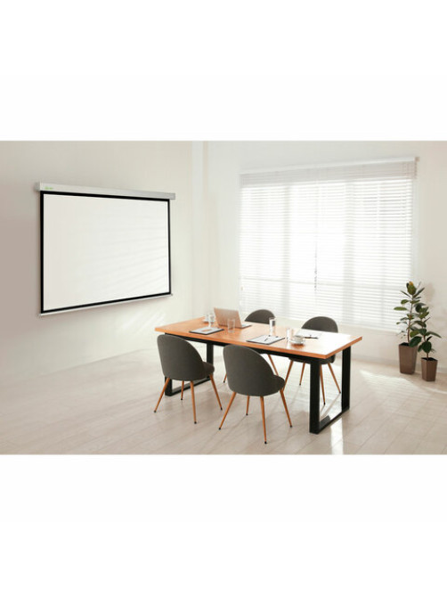 Экран Cactus Wallscreen CS-PSW-150x150, 150x150 см, 1:1, настенно-потолочный, белый