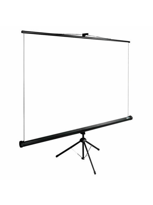 Экран Cactus TriExpert CS-PSTE-200x200-BK, 200x200 см, 1:1, напольный, черный