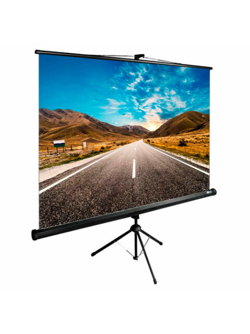 Экран Cactus TriExpert CS-PSTE-160x160-BK, 160x160 см, 1:1, напольный, черный