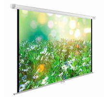 Экран Cactus WallExpert CS-PSWE-200x200-WT, 200x200 см, 1:1, настенно-потолочный, белый