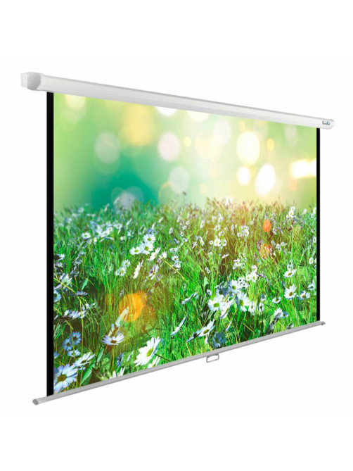 Экран Cactus WallExpert CS-PSWE-200x200-WT, 200x200 см, 1:1, настенно-потолочный, белый