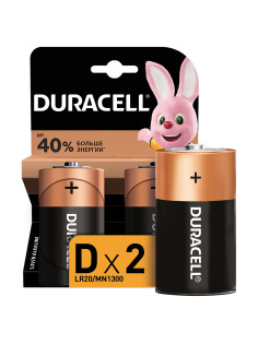 Батарейки КОМПЛЕКТ 2 шт., DURACELL Basic ОРИГИНАЛ, D (LR20, 13А), алкалиновые, блистер, MN 1300D LR20