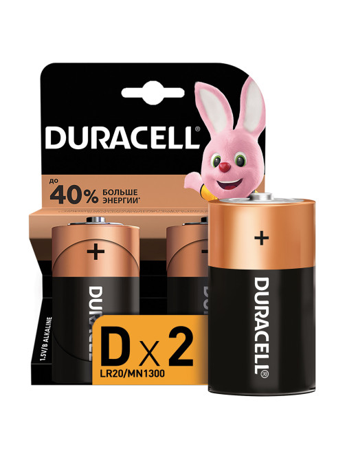 Батарейки КОМПЛЕКТ 2 шт., DURACELL Basic ОРИГИНАЛ, D (LR20, 13А), алкалиновые, блистер, MN 1300D LR20