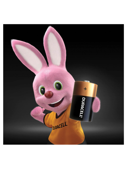Батарейки КОМПЛЕКТ 2 шт., DURACELL Basic ОРИГИНАЛ, D (LR20, 13А), алкалиновые, блистер, MN 1300D LR20