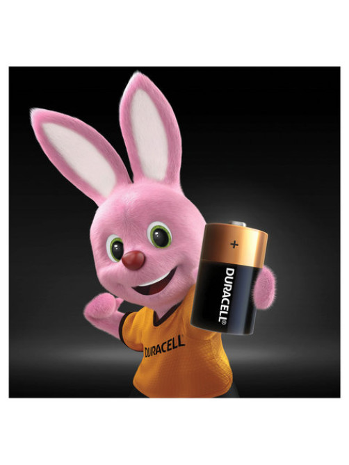 Батарейки КОМПЛЕКТ 2 шт., DURACELL Basic ОРИГИНАЛ, D (LR20, 13А), алкалиновые, блистер, MN 1300D LR20