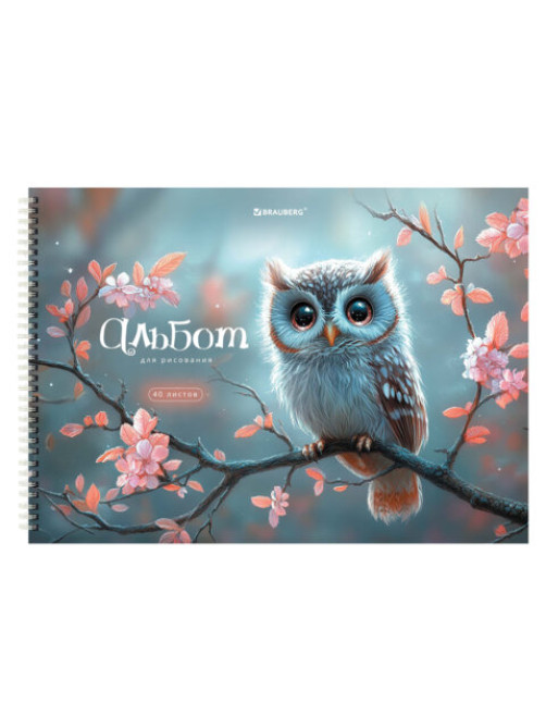 Альбомы для рисования ДЭК, А4, 40 л., КОМПЛЕКТ 2 шт., гребень, обложка картон, BRAUBERG, 200х290 мм, 