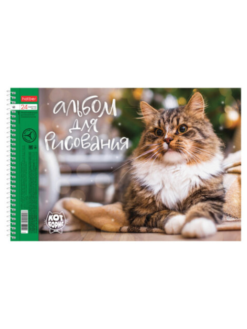 Альбом для рисования А4 24 л., спираль, обложка картон, HATBER, 198х300 мм, 