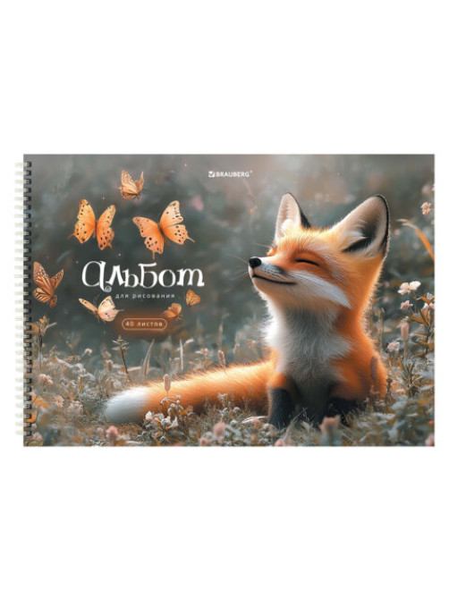 Альбомы для рисования ДЭК, А4, 40 л., КОМПЛЕКТ 2 шт., гребень, обложка картон, BRAUBERG, 200х290 мм, 