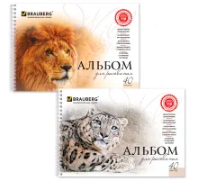 Альбом для рисования, А4, 40 листов, гребень, обложка картон, BRAUBERG, 205х290 мм, 