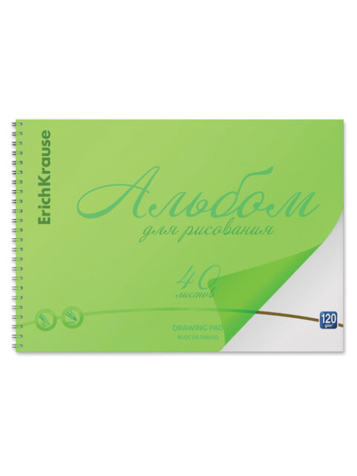 Альбом для рисования обложка пластик, А4, 40 л., гребень, 120 г/м2, перфорация, Erich Krause, 