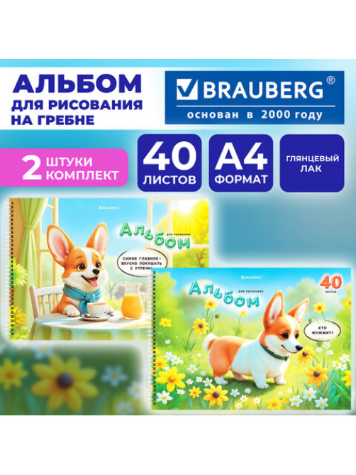 Альбомы для рисования ДЭК, А4, 40 л., КОМПЛЕКТ 2 шт., гребень, глянцевый лак, BRAUBERG, 200х290 мм, 