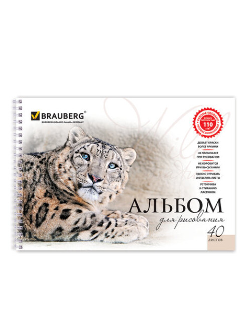 Альбом для рисования, А4, 40 листов, гребень, обложка картон, BRAUBERG, 205х290 мм, 