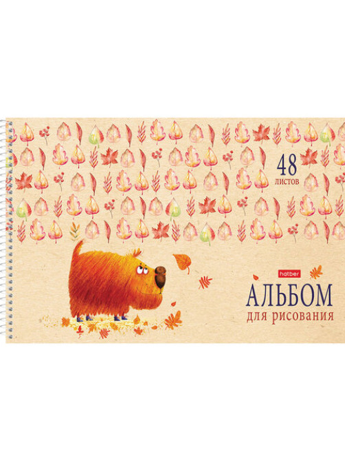 Альбом для рисования А4 48 л., спираль, обложка картон, HATBER, 205х290 мм, 