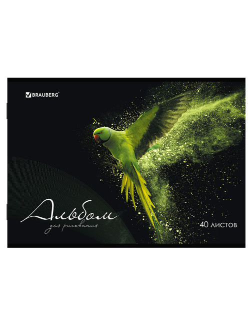 Альбом для рисования А4, 40 л., скоба, обложка картон, BRAUBERG, 205х290 мм, 