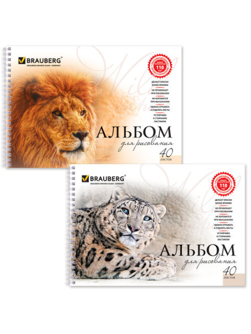 Альбом для рисования, А4, 40 листов, гребень, обложка картон, BRAUBERG, 205х290 мм, 