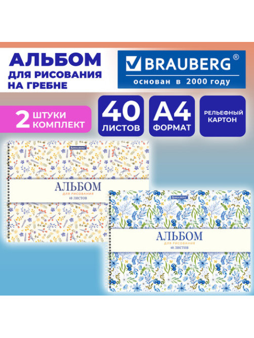 Альбомы для рисования ДЭК, А4, 40 л., КОМПЛЕКТ 2 шт., гребень, рельефный картон, BRAUBERG, 200х290 мм, 