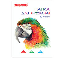 Папка для рисования, А4, 40 л., 120 г/м2, ПИФАГОР, 210х297 мм, 